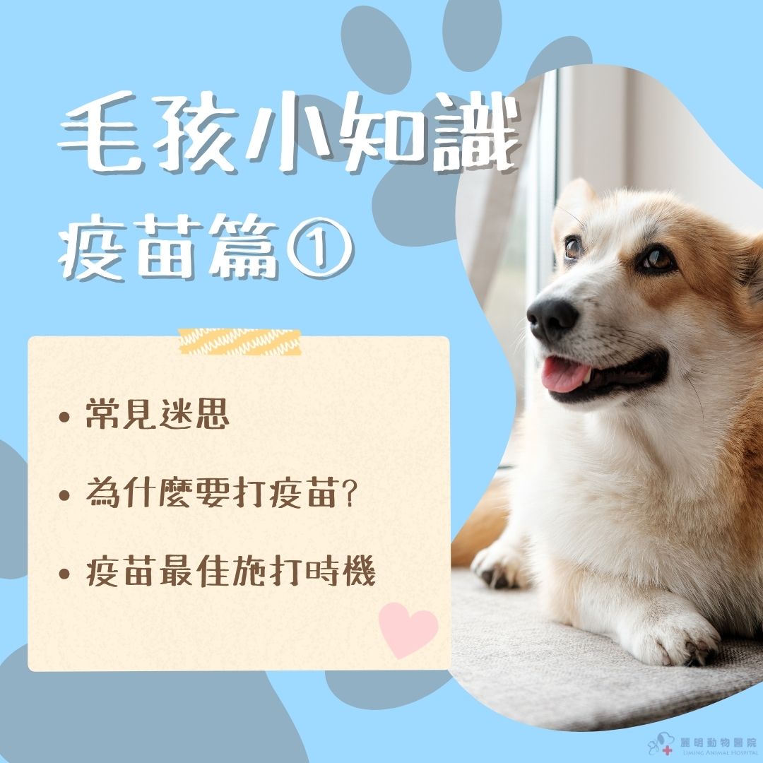 【毛孩小知識｜疫苗篇 ①】